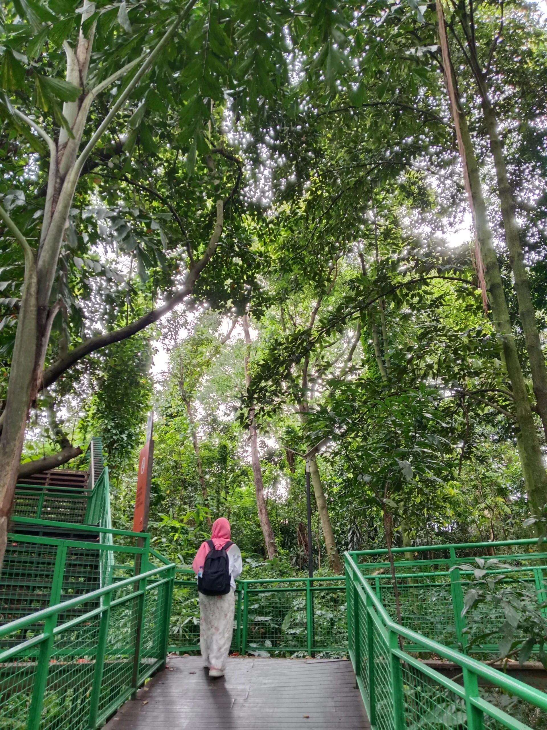 Babakan Siliwangi, wisata alam yang terletak di tengah Kota Bandung.