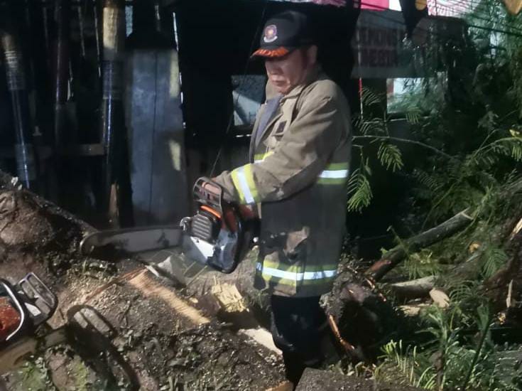 Petugas Diskar PB Kota Bandung saat evakuasi pohon-pohon yang tumbang pada Senin, 25 Desember 2023.