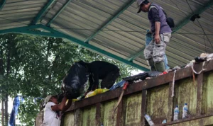 Kerap Terjadi Persoalan, Pj Gubernur Instruksikan Seluruh Bupati Walikota soal Pengolahan Sampah Tahun Baru