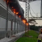 Dugaan Korsleting Listrik, Peternakan Ayam di Nagrak Sukabumi Alami Kebakaran hingga Telan Kerugian Rp3 Miliar