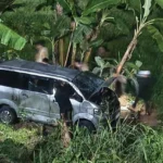 Kecelakaan di Cisarua Bogor, Mobil Terperosok ke Sawah, Begini Kronologisnya