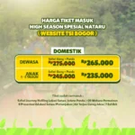 Luminous Journey Spesial Natal dan Tahun Baru 2024, Taman Safari Bogor Buka Promo Tiket Masuk!