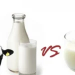 Susu Kedelai vs Susu Sapi, Mana yang Lebih Sehat?