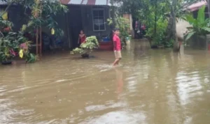Utamakan Keselamatan Warga Terdampak Banjir di Bandung, PLN Sigap Amankan Pasokan Listrik