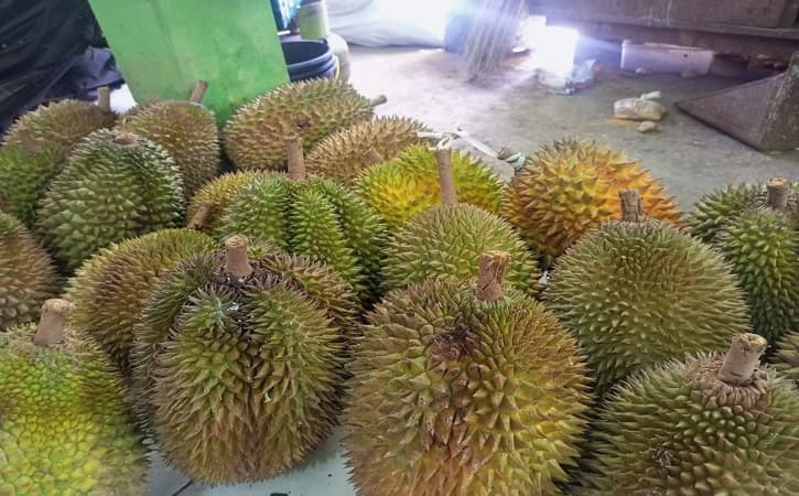 6 Makanan ini Jangan Dicampur Sama Durian, Nanti Kaget!