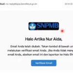 Tampilan Cek Email Aktivasi Akun SNPMB 2024/ Tangkap Layar YouTube SNPMB BPPP