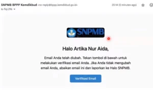 Tampilan Cek Email Aktivasi Akun SNPMB 2024/ Tangkap Layar YouTube SNPMB BPPP