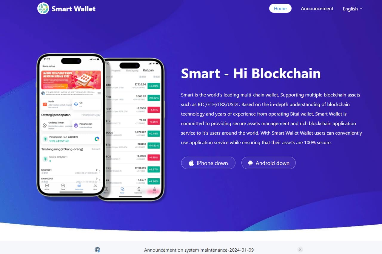 Inilah Tanda-tanda Aplikasi Smart Wallet Scam!