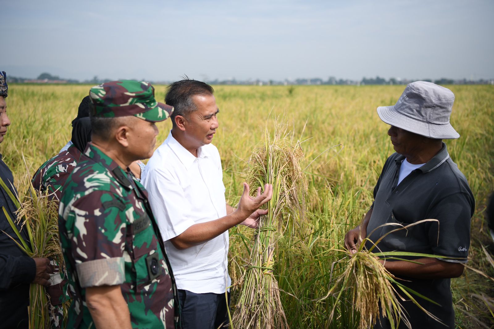 PJ Gubernur Jawa Barat, Bey Triadi Machmudin (tengah baju putih) saat menghadiri langsung panen Padi Gembira Salibu di wilayah Kecamatan Banjaran, Kabupaten Bandung.