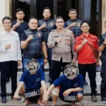 Jajaran Polsek Majalaya saat berhasil menangkap kedua pelaku penganiayaan dan pembacokan di Majalaya, Kabupaten Bandung.