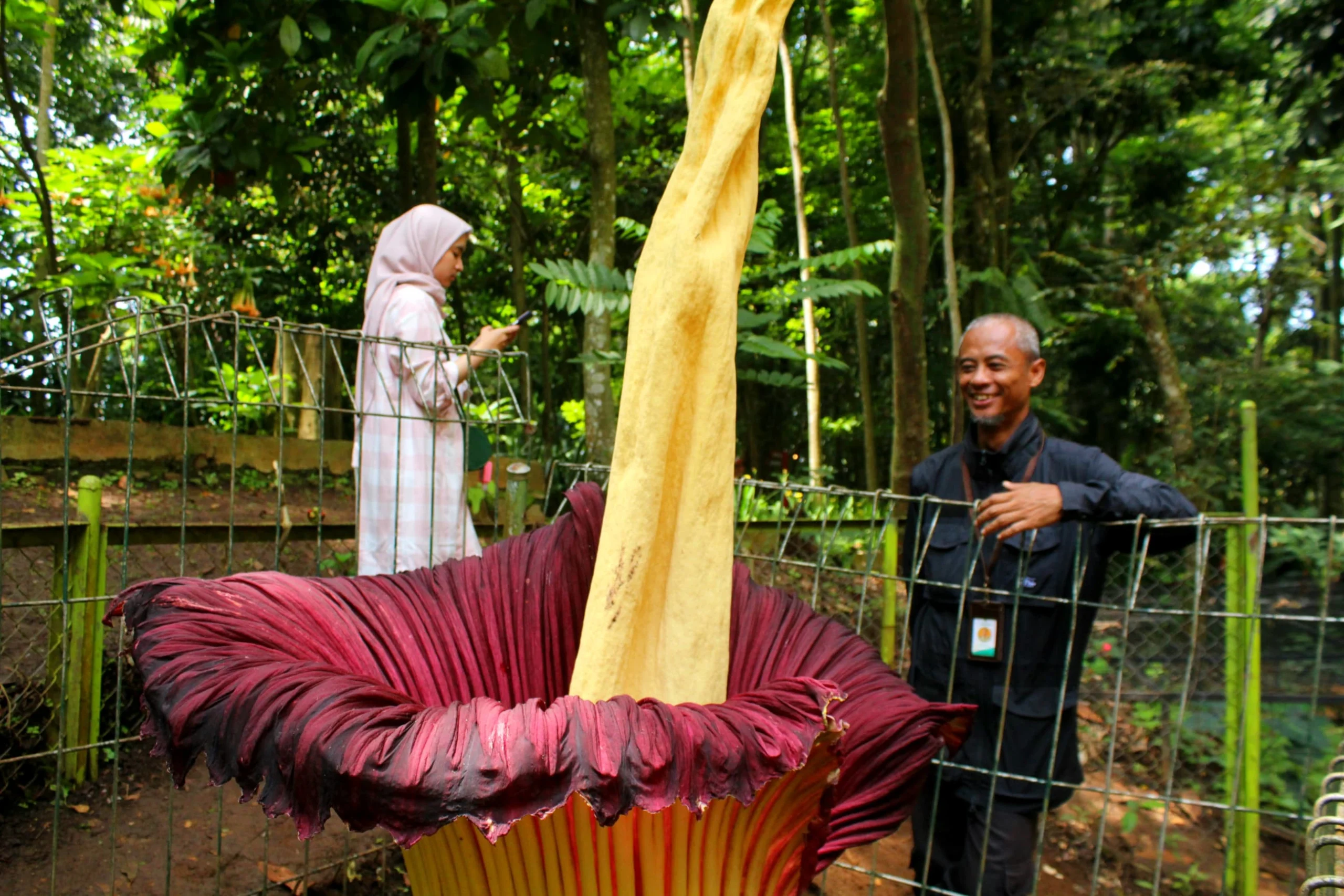 Kenalan dengan Pawang Flora Fauna Tahura / Hendrik Muchlison