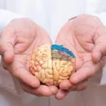 7 Kebiasaan Sehari-hari yang Bisa Merusak Kesehatan Otak: Tips Santai untuk Jaga Otak Tetap Optimal