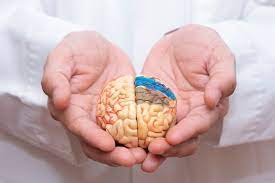 7 Kebiasaan Sehari-hari yang Bisa Merusak Kesehatan Otak: Tips Santai untuk Jaga Otak Tetap Optimal
