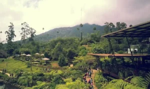 10 Destinasi Wisata Paling Estetetik di Bandung, Panorama Alam hingga Wahana Seru!