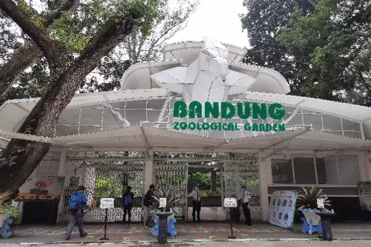 Jadwal Liburan! Jam Buka dan Harga Tiket Terupdate Kebun Binatang Bandung