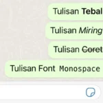 Fungsi dan Cara Kerja Format Teks Baru di Whatsapp