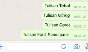 Fungsi dan Cara Kerja Format Teks Baru di Whatsapp