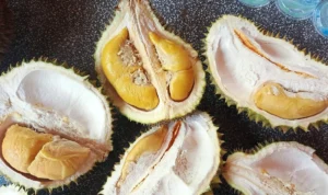 Mengenal Durian Goes Classy: Membuat Anggur dari Buah dengan Aroma Kuat dan Kontroversial