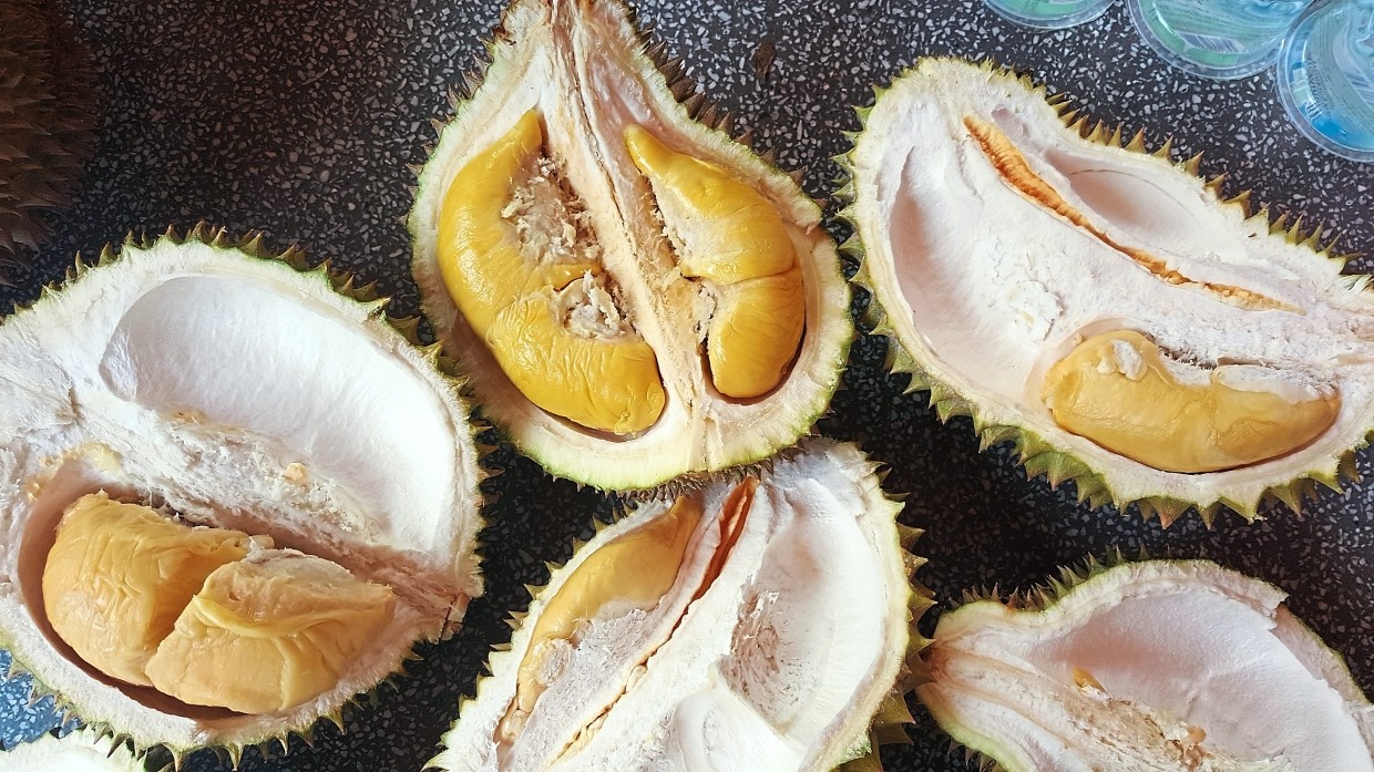 Mengenal Durian Goes Classy: Membuat Anggur dari Buah dengan Aroma Kuat dan Kontroversial