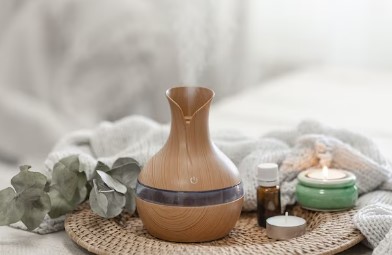 ILUSTRASI: Tanaman aroma therapi (freepik)