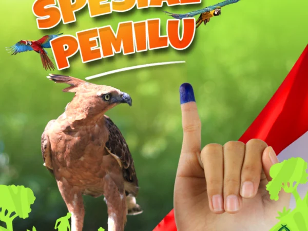 Promo spesial Taman Safari Bogor untuk Pemilu 2024.