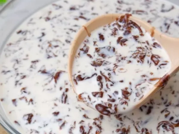 Resep Es Lumut Nutrijel Coklat, Ide Bisnis Takjil Ramadhan yang Menguntungkan