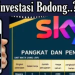 Mengungkap Aplikasi Sky Investasi Bodong Mirip VCCP, dan BBH