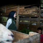 Ketua Jabar Bergerak KBB, Sonya Fatmala saat menyambangi kediaman keluarga Sukiman yang tinggal di kandang domba. Minggu (4/2). Foto Suwitno/Jabarekspres