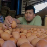 Jelang Imlek, beberapa komoditas pangan alami kenaikan di Pasar Kota Bandung (Pandu Muslim / JE)