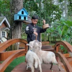 Rabbit Forest by Orchid Forest Cikole, Wisata Edukasi di Lembang Bisa Swafoto Hingga Beri Makan Hewan
