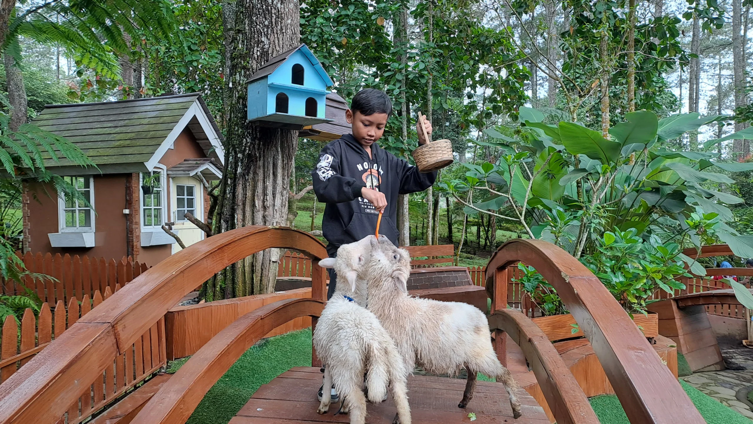 Rabbit Forest by Orchid Forest Cikole, Wisata Edukasi di Lembang Bisa Swafoto Hingga Beri Makan Hewan