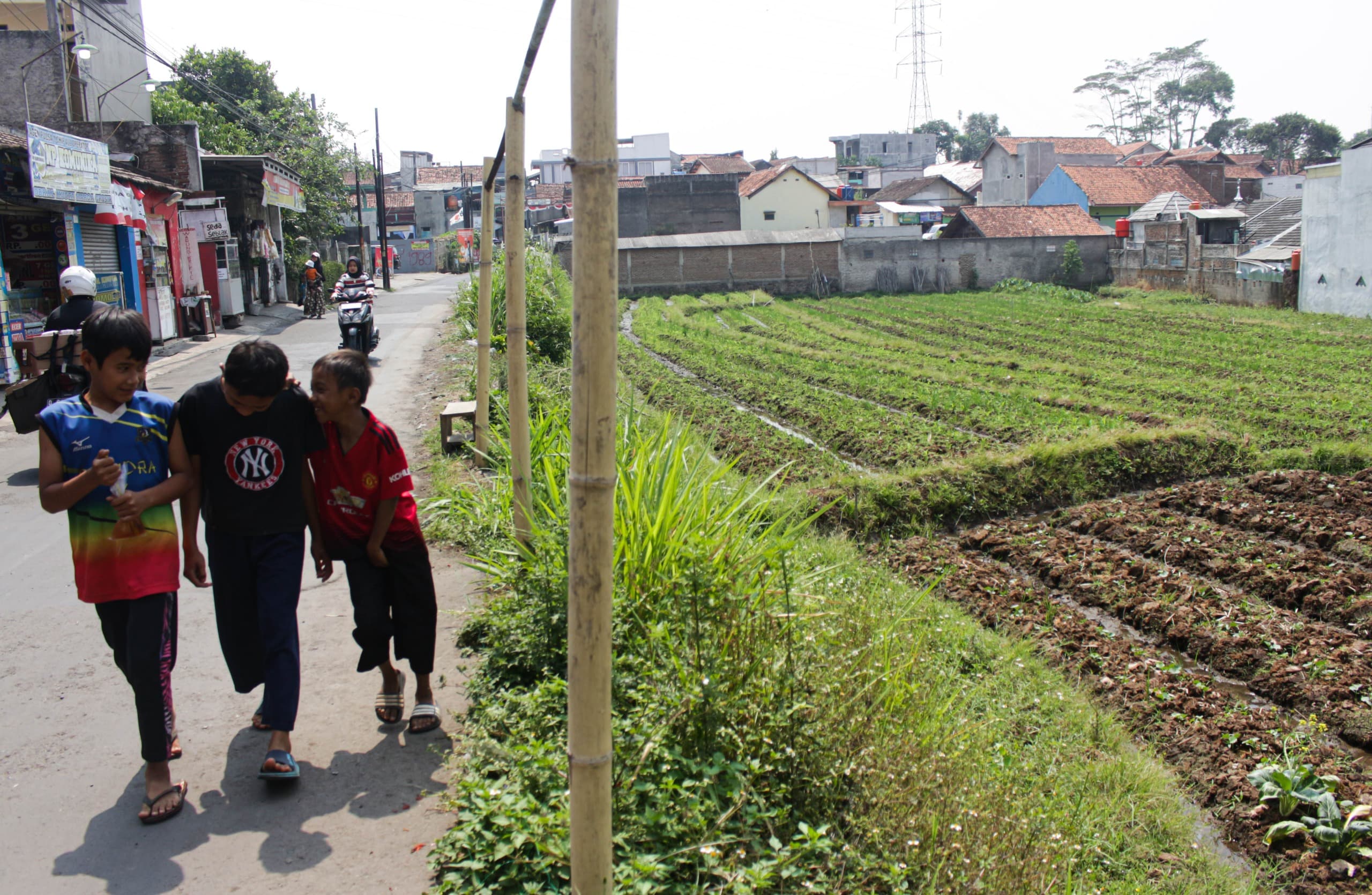 Warga sedang melewati lahan pertanian yang ada di Kabupaten Bandung.