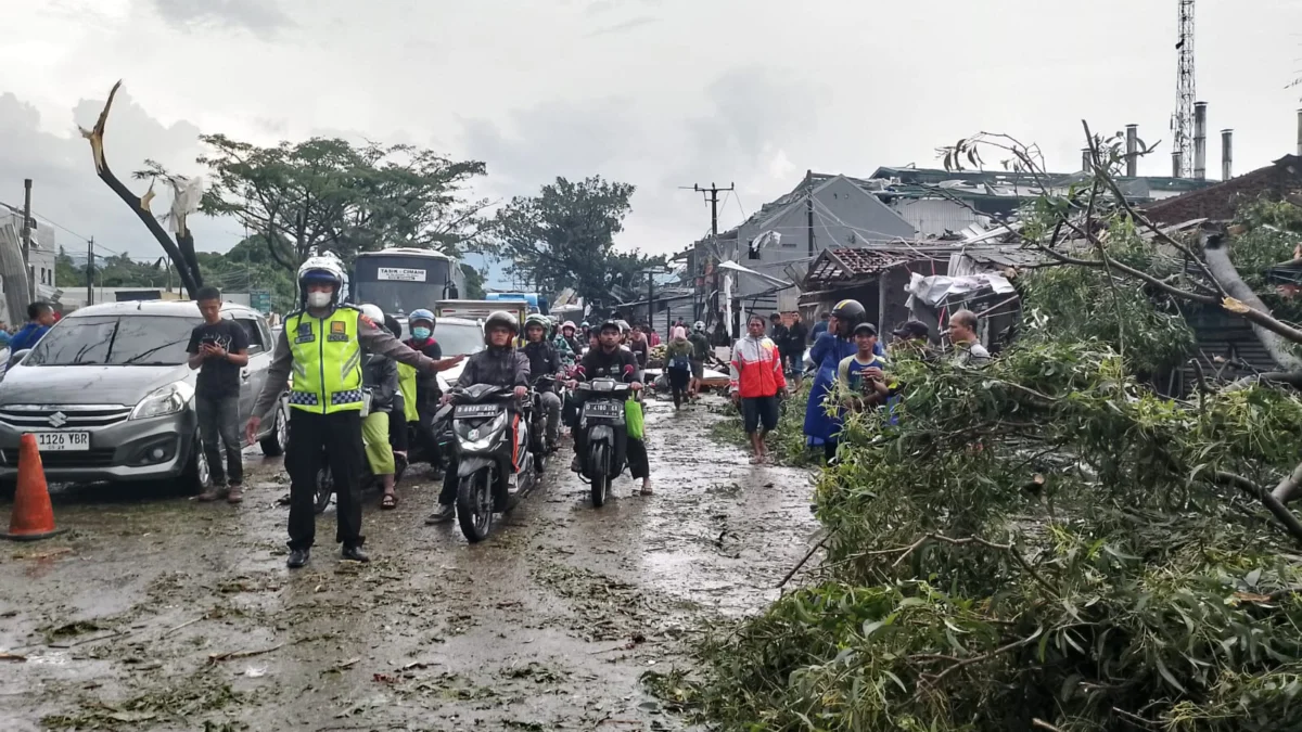 Proses evakuasi pohon tumbang di area Jalan Raya Garut-Bandung, Kecamatan Rancaekek akibat angin puting beliung.