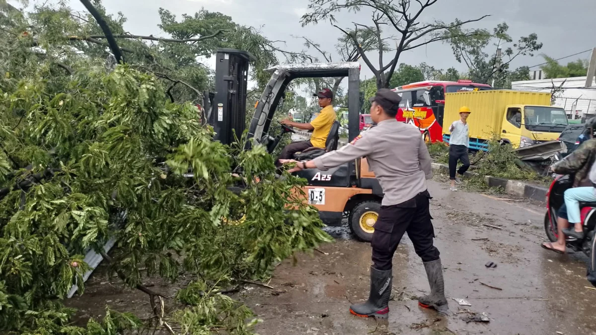 Kapolsek Rancaekek, Kompol Deny Sunjaya saat membantu proses evakuasi pohon tumbang pasca diterjang angin puting beliung.