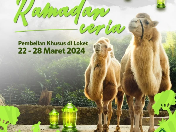Promo Ramadan Ceria di Taman Safari Bogor hanya Rp250 Ribu.
