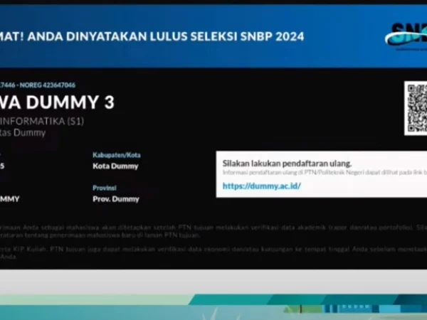 Tampilan Jika Lulus SNBP 2024, Ini Link Cek Hasil SNBP 2024/ Tangkap Layar YouTube SNPMB BPPP