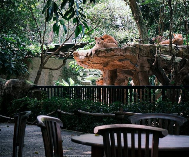 Kafe dan kandang Singa yang bersebelahan di Bandung Zoo sebagai tempat bukber ketika Ramadan.(ist)