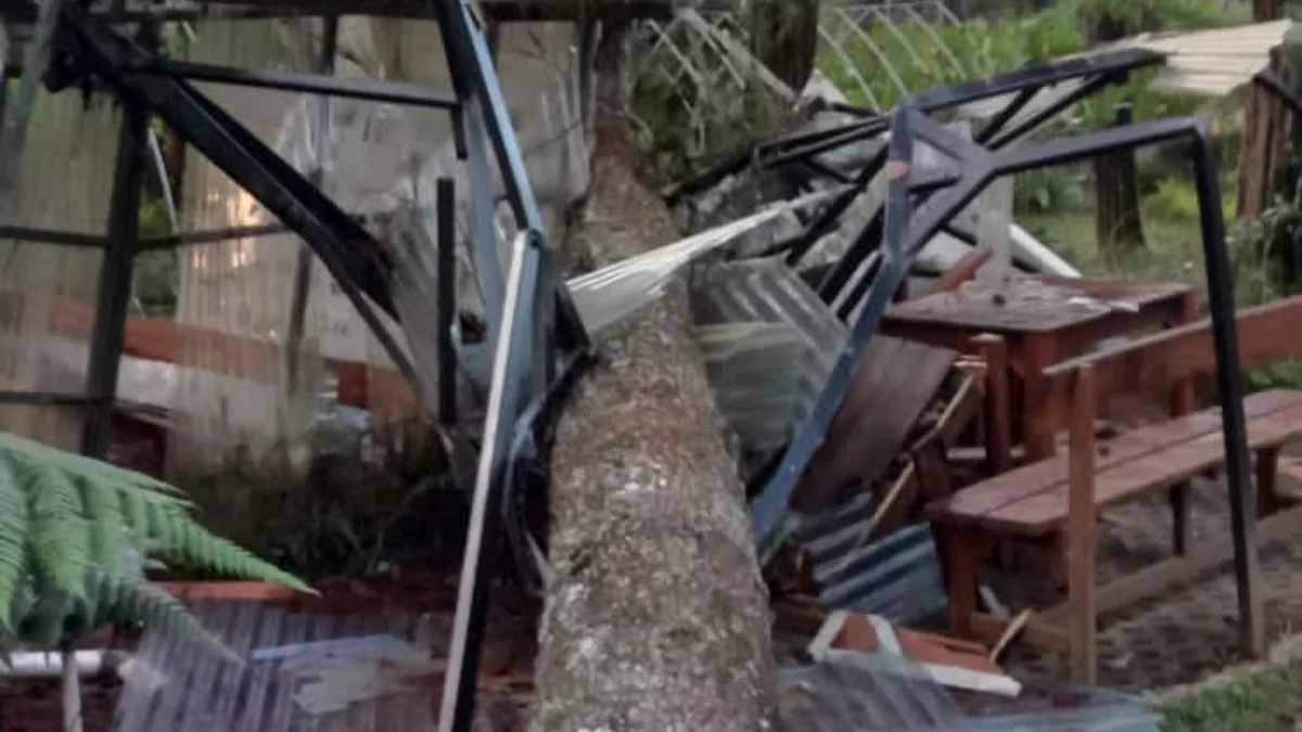 Pohon besar yang tumbang dan menimpa sebuah bangunan di Wisata Orchid Forest Cikole, Senin (11/3).