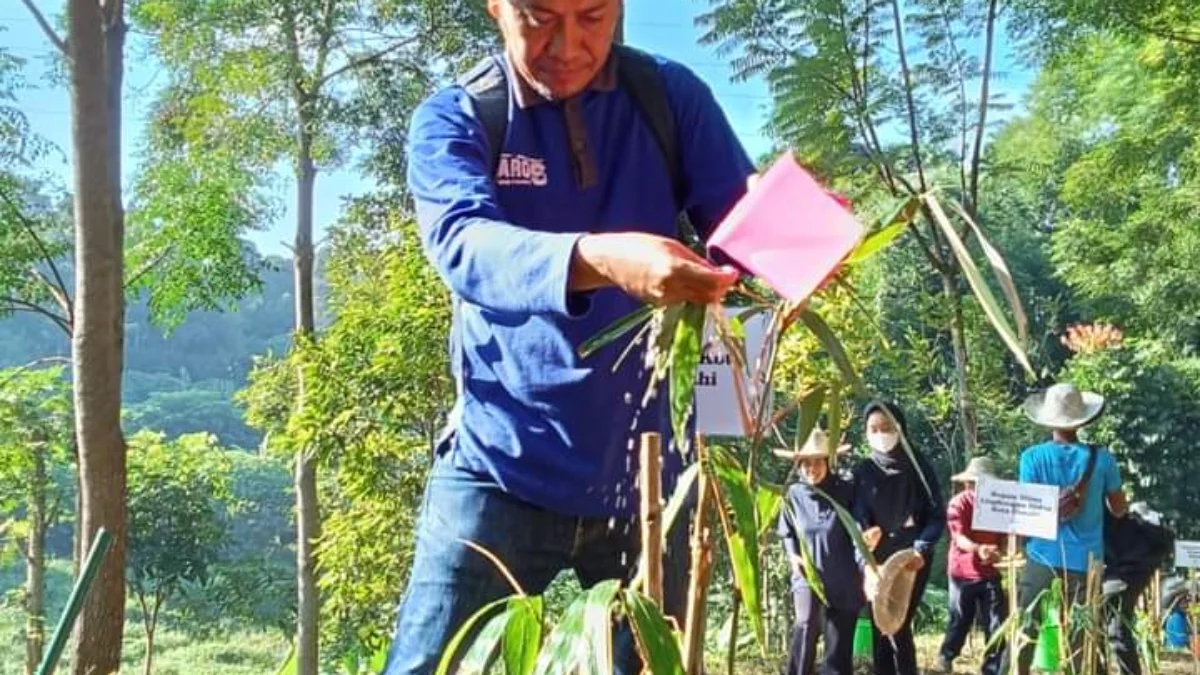 Doc. Kepala Bidang Tata Lingkungan DLH Kota Cimahi, Agus Irwan dalam Kegiatan Hari Menanam Pohon (Istimewa)