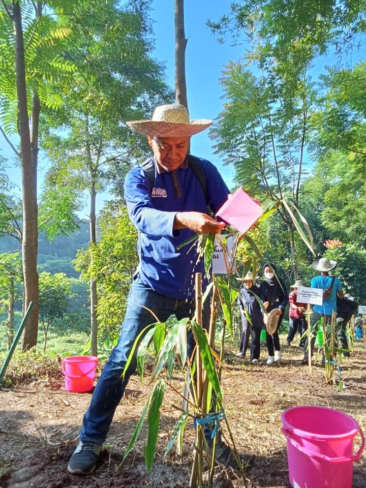 Doc. Kepala Bidang Tata Lingkungan DLH Kota Cimahi, Agus Irwan dalam Kegiatan Hari Menanam Pohon (Istimewa)