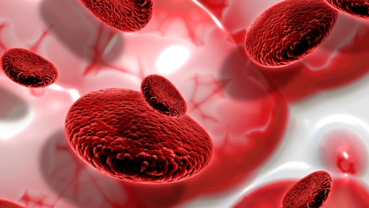 Miliki Peran Utama Dalam Pembekuan Darah, Apa Itu Trombosit? (ilustrasi: Freepik)