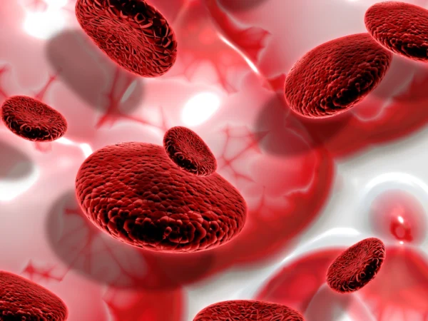 Miliki Peran Utama Dalam Pembekuan Darah, Apa Itu Trombosit? (ilustrasi: Freepik)
