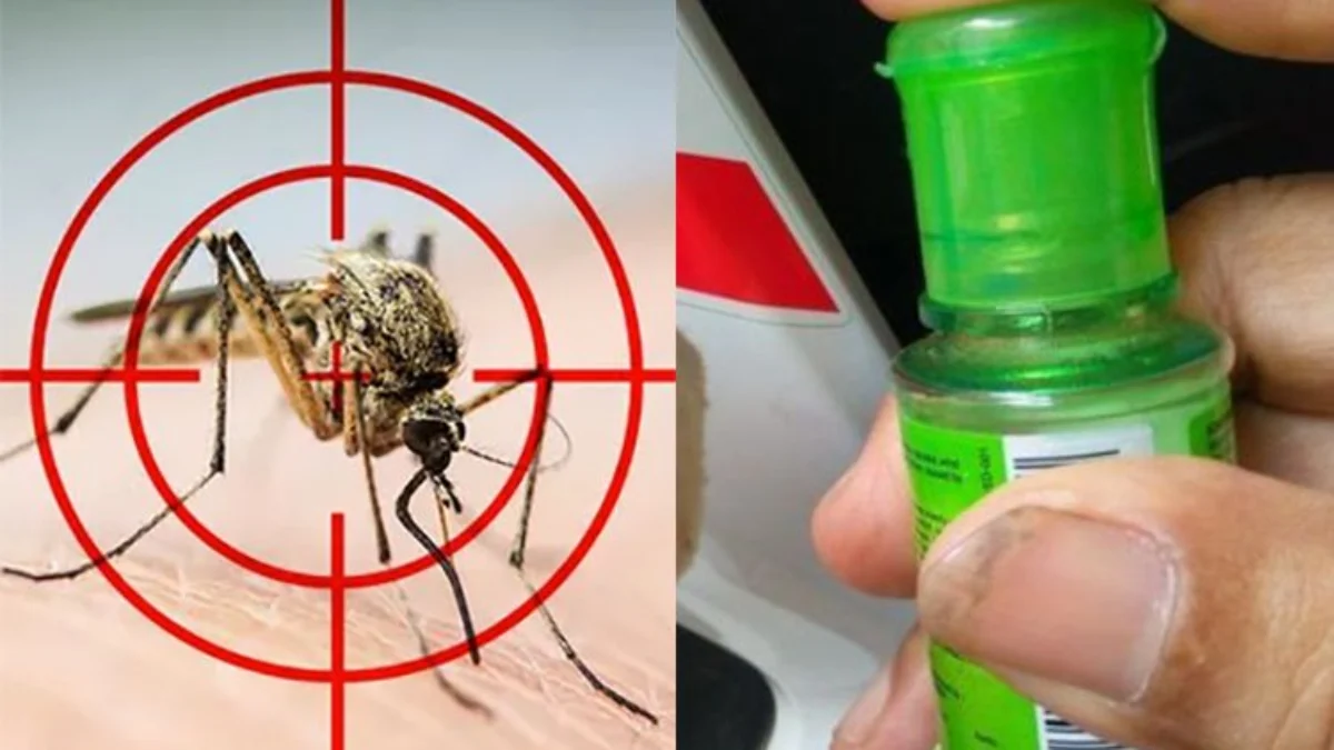 5 Cara Alami Mengusir Nyamuk di Rumah, Bikin Kamu Tenang Tanpa Harus Repot