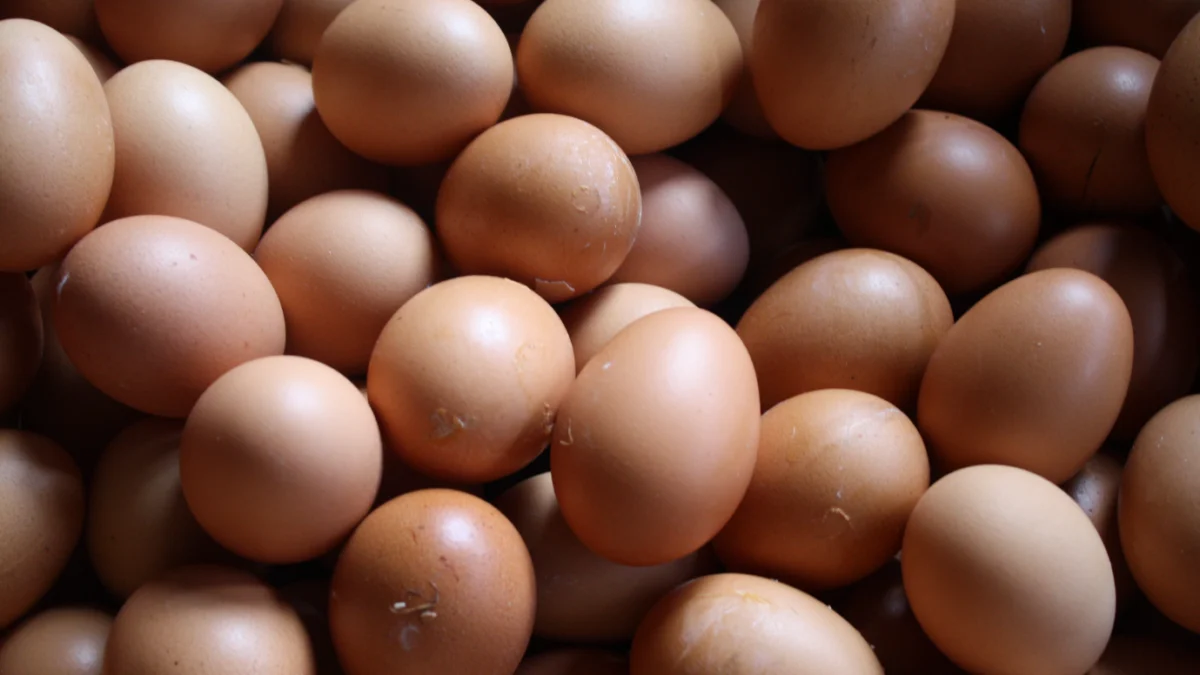 harga telur alami kenaikan/Foto: Wikimedia Commons