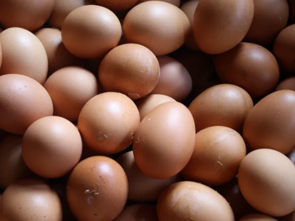 harga telur alami kenaikan/Foto: Wikimedia Commons