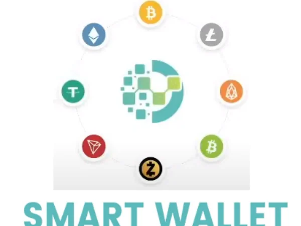 Aplikasi Smart Wallet Sudah Tidak Membayar? Begini solusinya