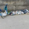 Gotongroyong bersihkan tumpukan sampah di ruas jalan menuju SMPN 1 Cileunyi, wilayah Desa Cimekar, Kecamatan Cileunyi, Kabupaten Bandung.