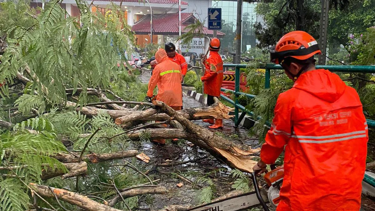 Petugas BPBD saat mengevakuasi pohon tumbang. Foto : Sandika Fadilah/Jabarekspres.com