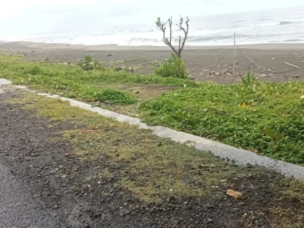 Abrasi yang terjadi di Pantai Ciparanti yang terletak di Desa Ciparanti, Kecamatan Cimerak, Kabupaten Pangandaran.
