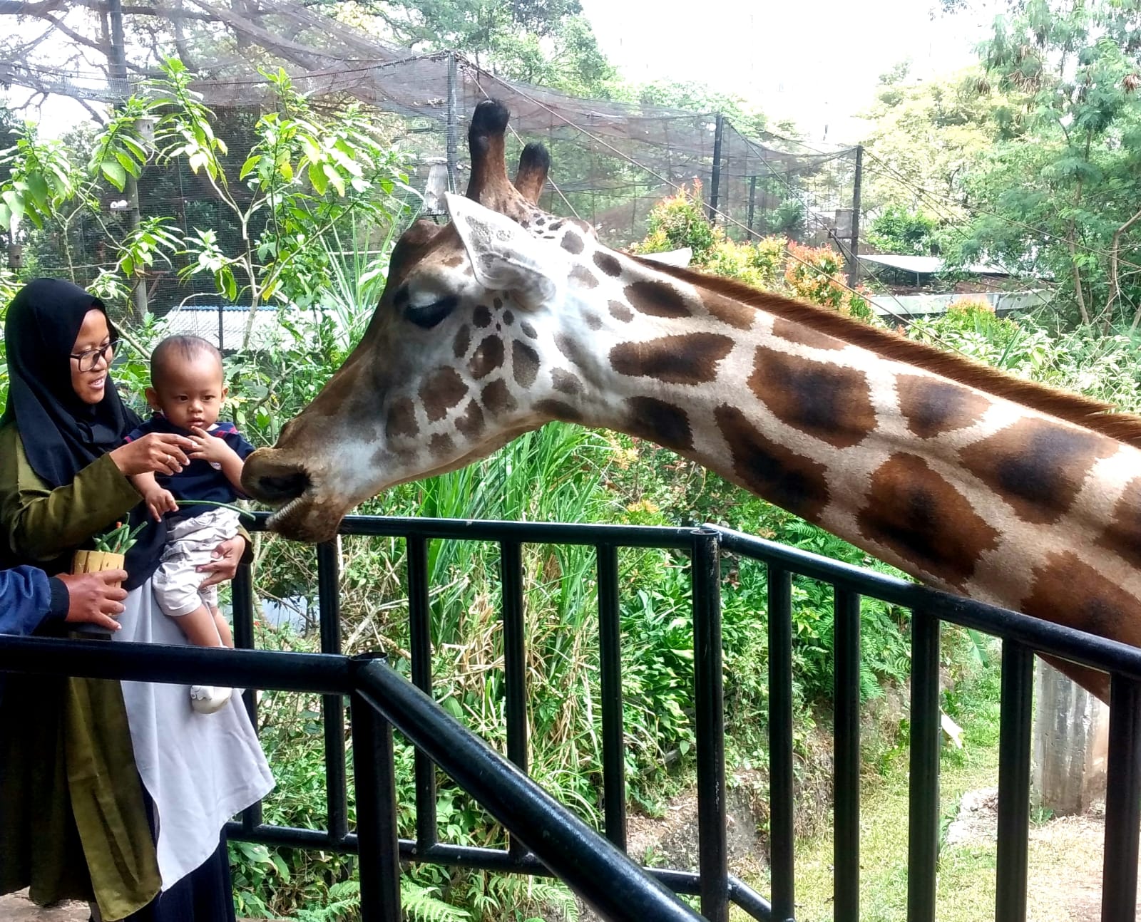 Sejumlah wisatawan lokal saat berkunjung di area kandang rusa Bandung Zoo.